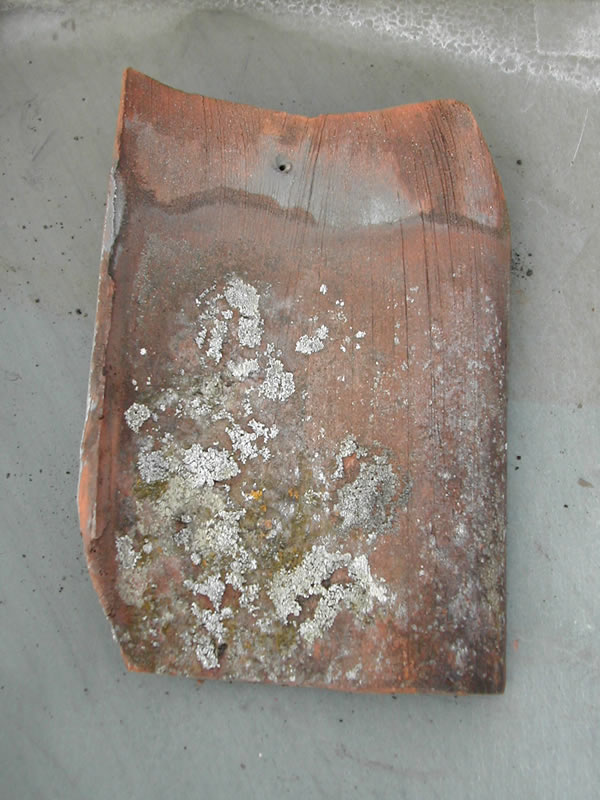 bensreckyard ebay photo Clay machine made pantiles 22