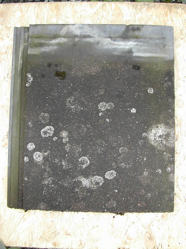 bensreckyard ebay photo Concrete stonewold tile 3