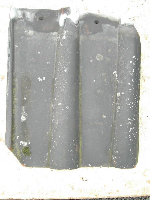 bensreckyard ebay photo Clay black double roman 16