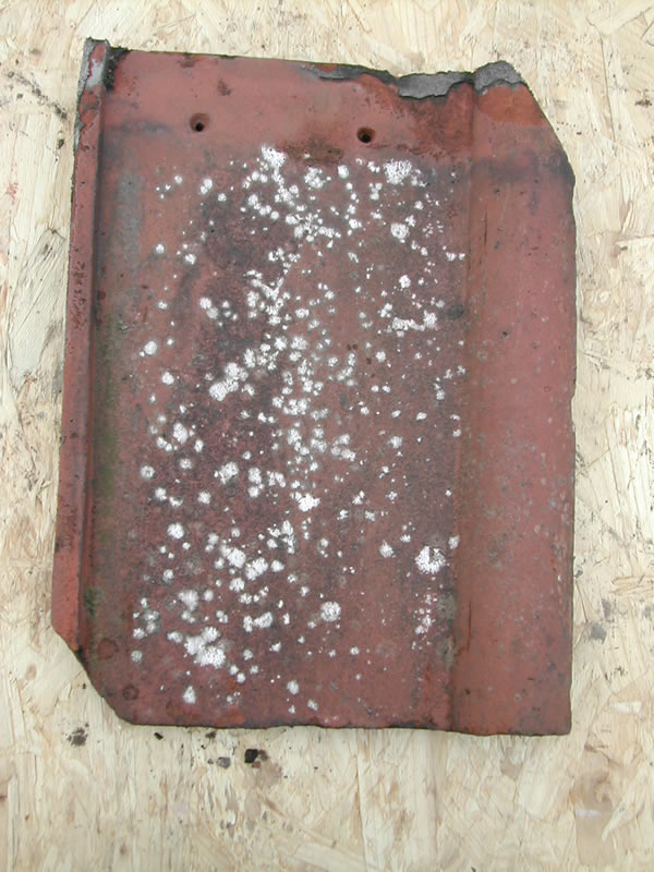 bensreckyard ebay photo Clay single roman tile in red 1
