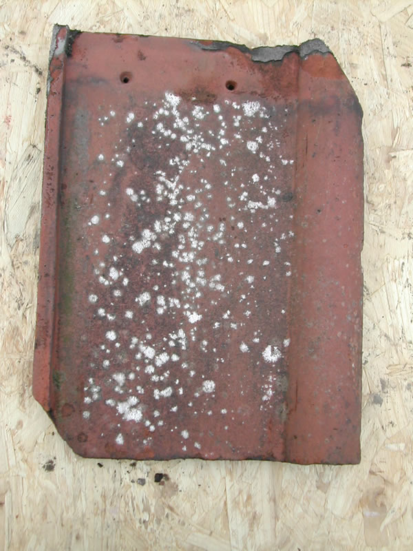 bensreckyard photo Clay single roman tile in red 